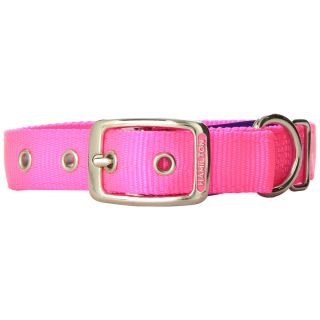 Hamilton Double Thick Nylon Deluxe Dog Collar, 1-Inch by 20-Inch, Hot Pink