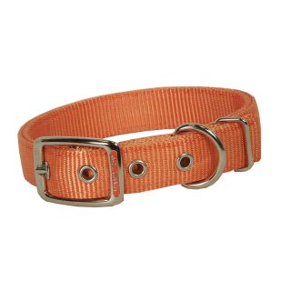 Hamilton Double Thick Nylon Deluxe Dog Collar, 1-Inch by 26-Inch, Mango Orange