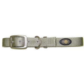 Hamilton Double Thick Nylon Deluxe Dog Collar with Brushed Hardware Finish, 1-Inch by 22-Inch, Sage Green