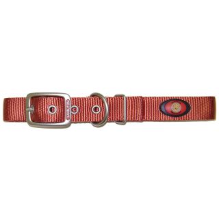 Hamilton Double Thick Nylon Deluxe Dog Collar with Brushed Hardware Finish, 1-Inch by 22-Inch, Red Brick