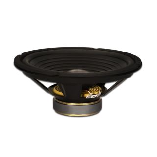 Goldwood Sound GW-210/4 OEM 10" Woofer 220 Watts 4ohm Replacement Speaker,Black