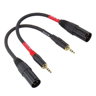 WJSTN XLR to 3.5mm Converter Cable Unbalanced 1/8 inch Mini Stereo Jack to XLR Male Adapter Suitable for Camera, DSLR Camera, Computer Recording Equipment, etc 2-Pack (6in)