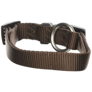 Hamilton 3/4-Inch Adjustable Dog Collar Fits 16-Inch to 22-Inch with Brushed Hardware Ring, Medium, Brown