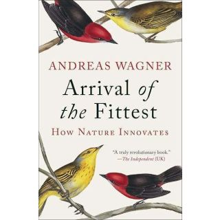 Arrival of the Fittest: How Nature Innovates