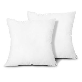 EDOW Throw Pillow Inserts, Set of 2 Lightweight Down Alternative Polyester Pillow, Couch Cushion, Sham Stuffer, Machine Washable. (White, 20x20)