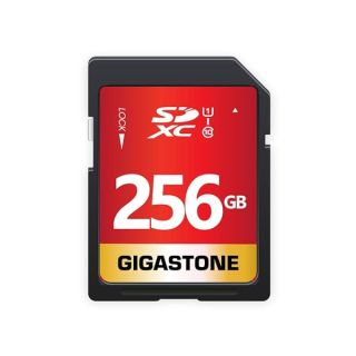 Gigastone 256GB SD Card UHS-I U1 Class 10 SDXC Memory Card High Speed Full HD Video Canon Nikon Sony Pentax Kodak Olympus Panasonic Digital Camera, with 1 Mini case