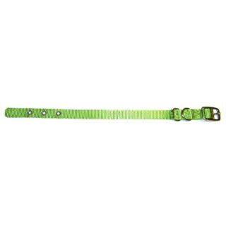 Hamilton 5/8-Inch by 16-Inch Single Thick Nylon Deluxe Dog Collar, Lime Green