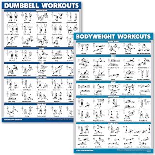 Palace Learning Dumbbell Workouts and Bodyweight Exercise Poster Set - LAMINATED 2 Chart Set - Dumbbell Exercise Routine & Body Weight Workouts (18" x 24")