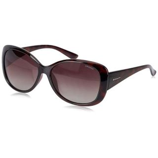 POLAROID P8317 0BM HAVANA 58/15/135 WOMAN Sunglasses