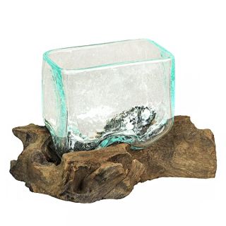 Rectangular Glass Driftwood Bowl: Stylish Vase & Succulent Planter for Home Decor