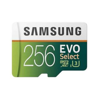 Buy SAMSUNG 256GB MicroSDXC EVO Select Card - 100MB/s U3 Speed with Full-Size Adapter