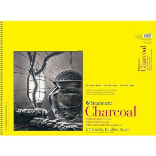 Strathmore 300 Series Charcoal Paper Pad, Top Wire Bound, 18x24 inches, 24 Sheets (64lb/95g) - Artist Paper for Adults and Students - Charcoal and Pastel