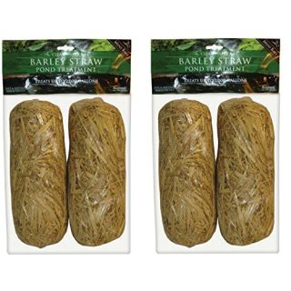 Summit 130 Clear-Water Barley Straw Bales, 2 Packs of 2-4 Total