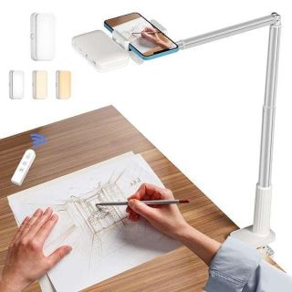yAyusi Overhead Phone Mount: Articulating Arm Stand with LED Light for YouTube Cooking & Live Stream Recording